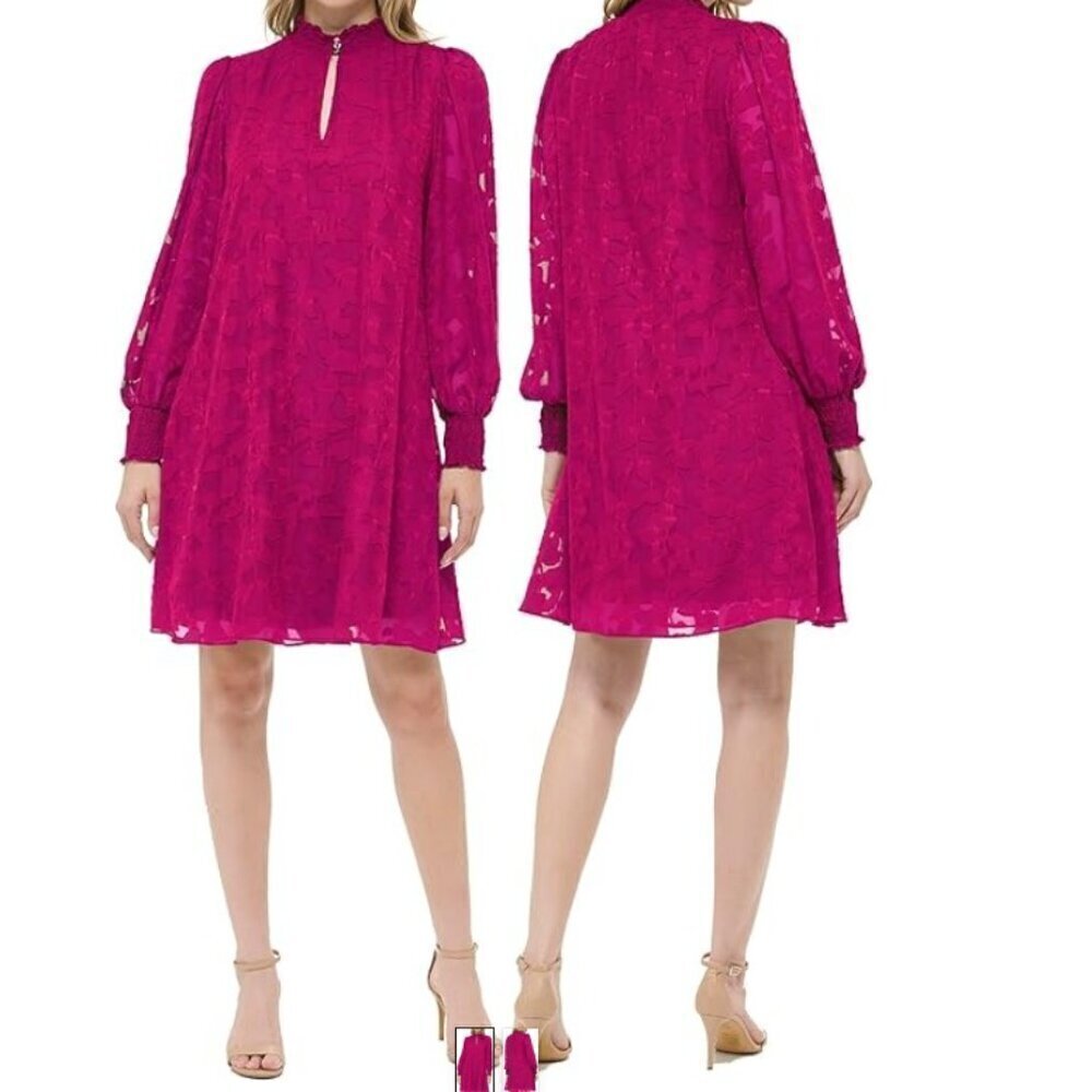 Long Sleeve Embossed Chiffon Dress